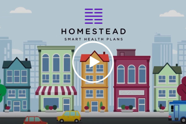 home stead logo with play button